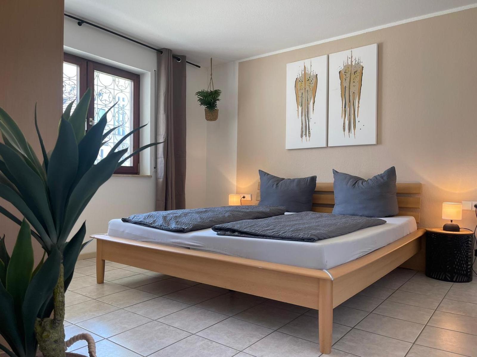 Apartment Seeside Am Frei- Und Seebad Fischbach Фридрихсхафен Экстерьер фото